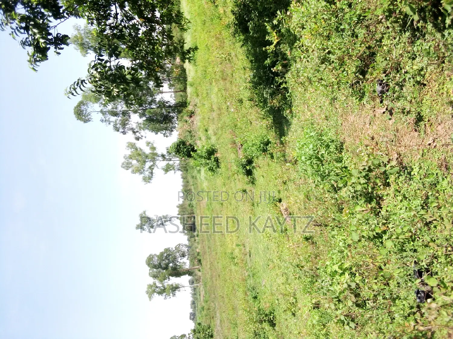 Land Along Jinja - Tororo Highway on Sale
