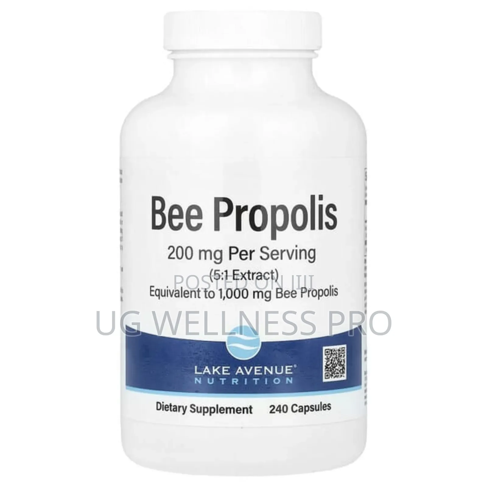 Lake Avenue Nutrition, Bee Propolis, 1,000 Mg, 240 Veg Caps