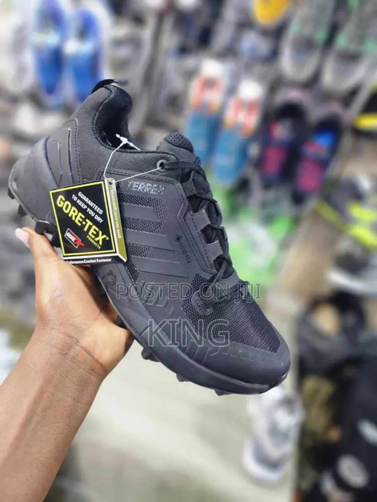 Primal Terrex Sneakers. Gore Tex