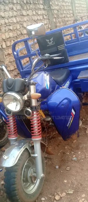 Tricycle 2024 Blue
