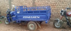 Tricycle 2024 Blue