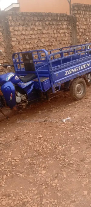 Tricycle 2024 Blue