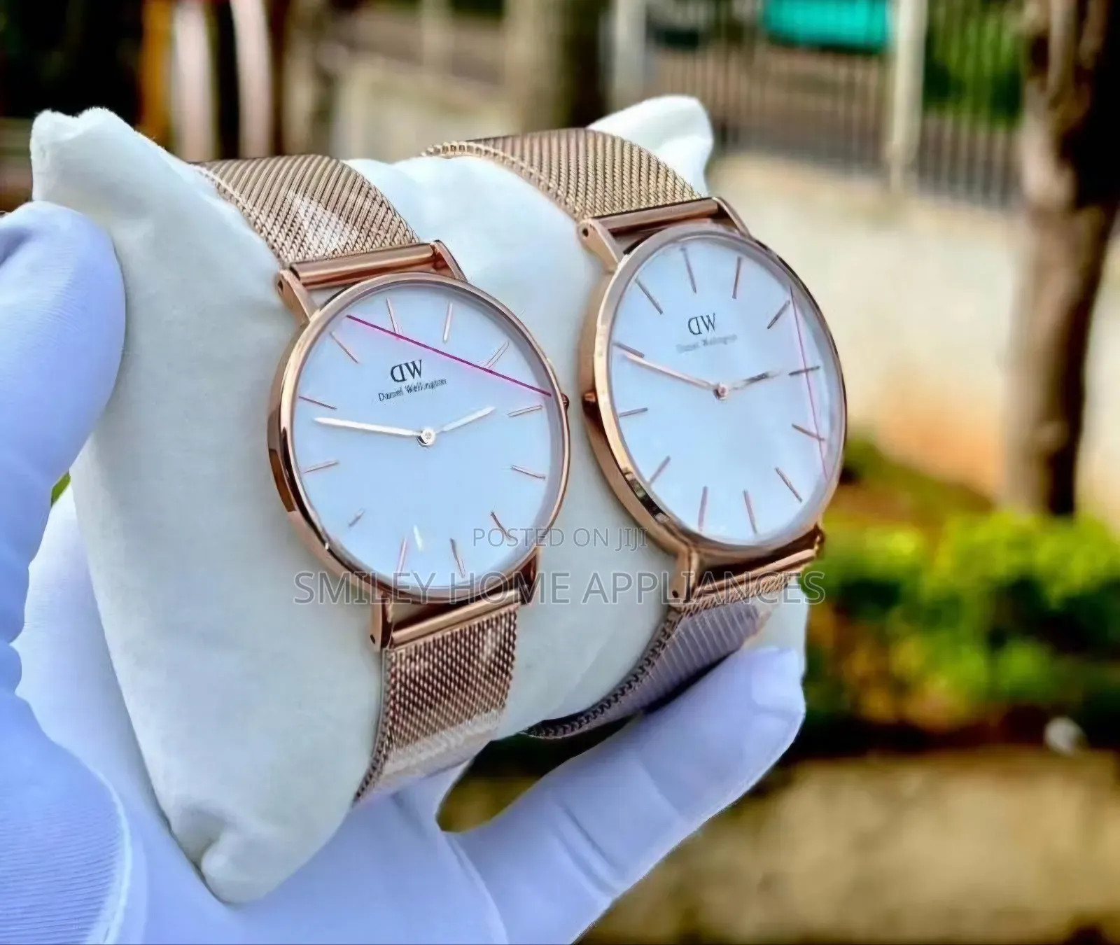 Daniel Wellington Ladies Watch