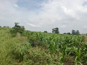 Land for Sale in Nakasongola