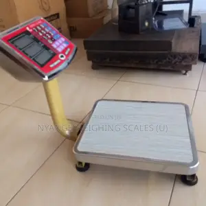 Best Quality Weigh Scale 60kg Weigh Capacity Portable Weighing Scale