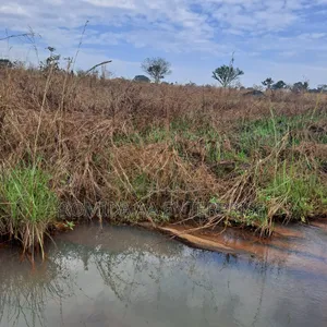 Photo - Farmland Rental Opportunities in North Uganda