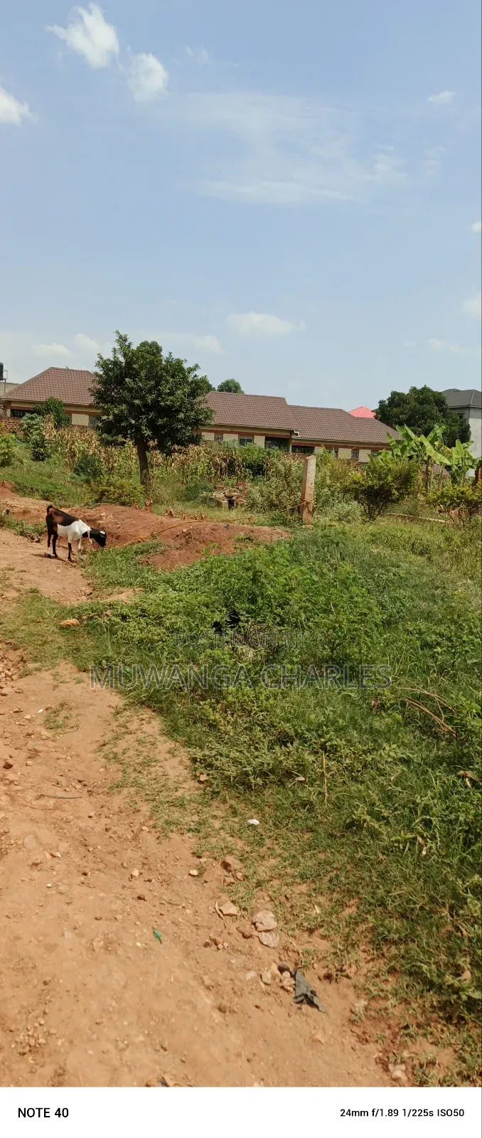 Plot for Sale in Kira