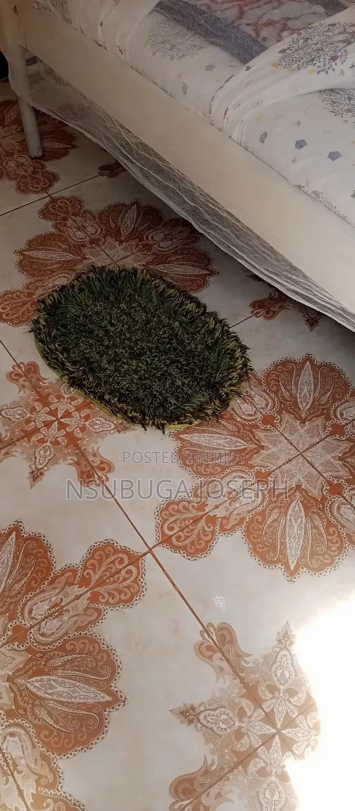 Furnished 20bdrm Room & Parlour in Digital City Guest, Busana for rent