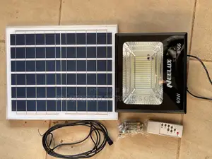60W Durable Solar Flood Lights Elzx