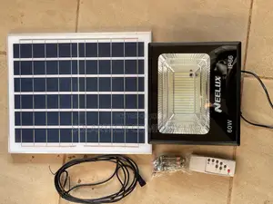 60W Durable Solar Flood Lights Elzx
