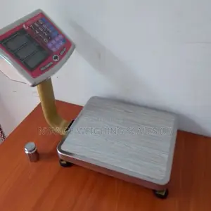 Food Pricing Weighing Scale 40kg Accurate Quality Weighing Scale