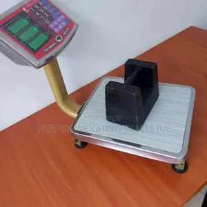 Portable Table Top Weighing Scales 60kg Dt05 - Cc