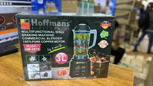 3L Hoffman's Multifunctional Wall Braking Commercial Blender