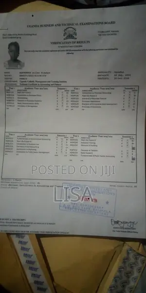 Accounting Finance CV