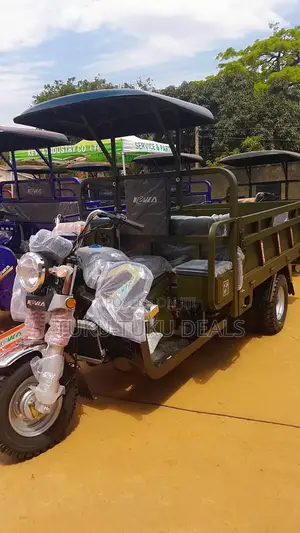 New Tricycle 2024 Green
