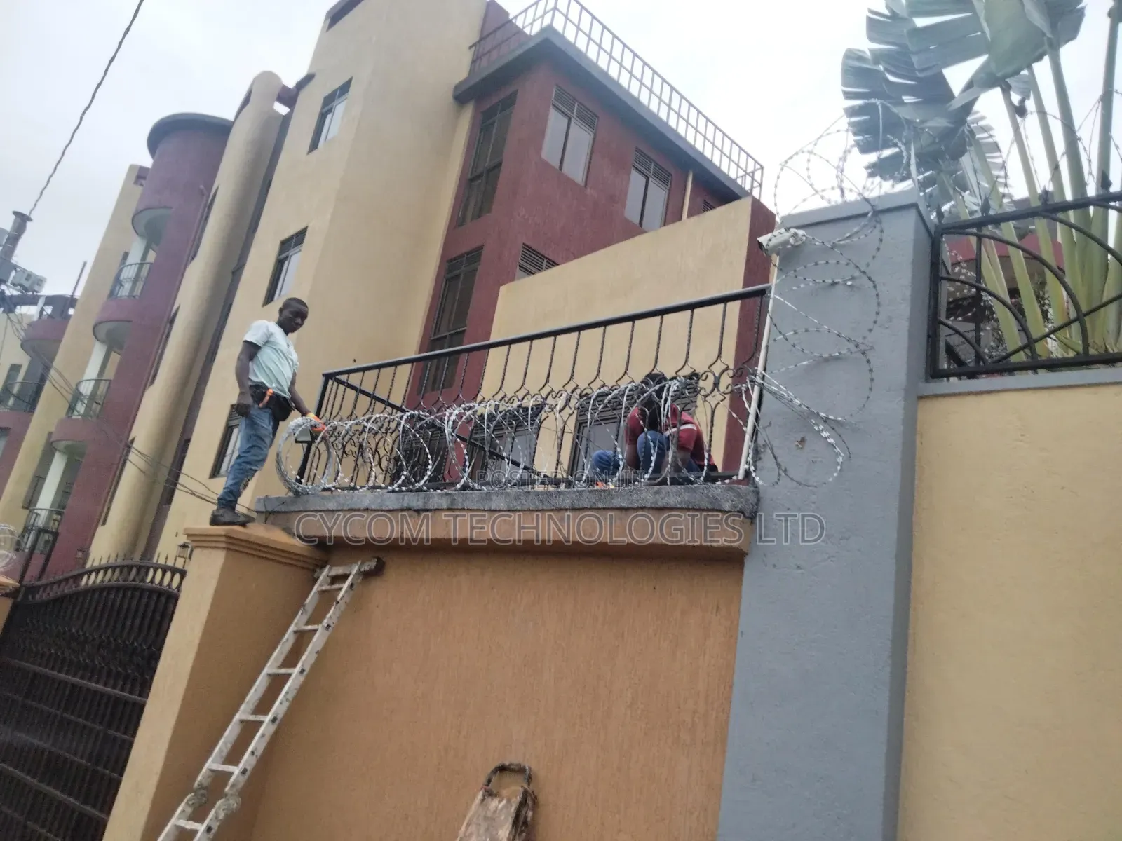 Lazor Wire Sekanyorya