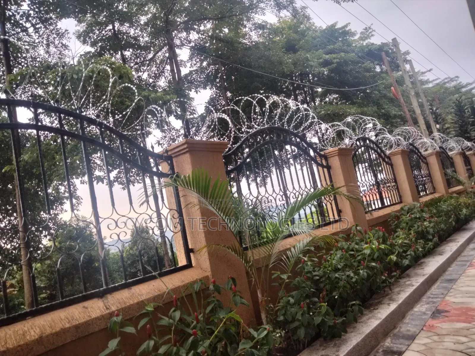 Lazor Wire Sekanyorya