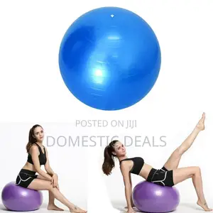 Exercise Ball Yoga Ball