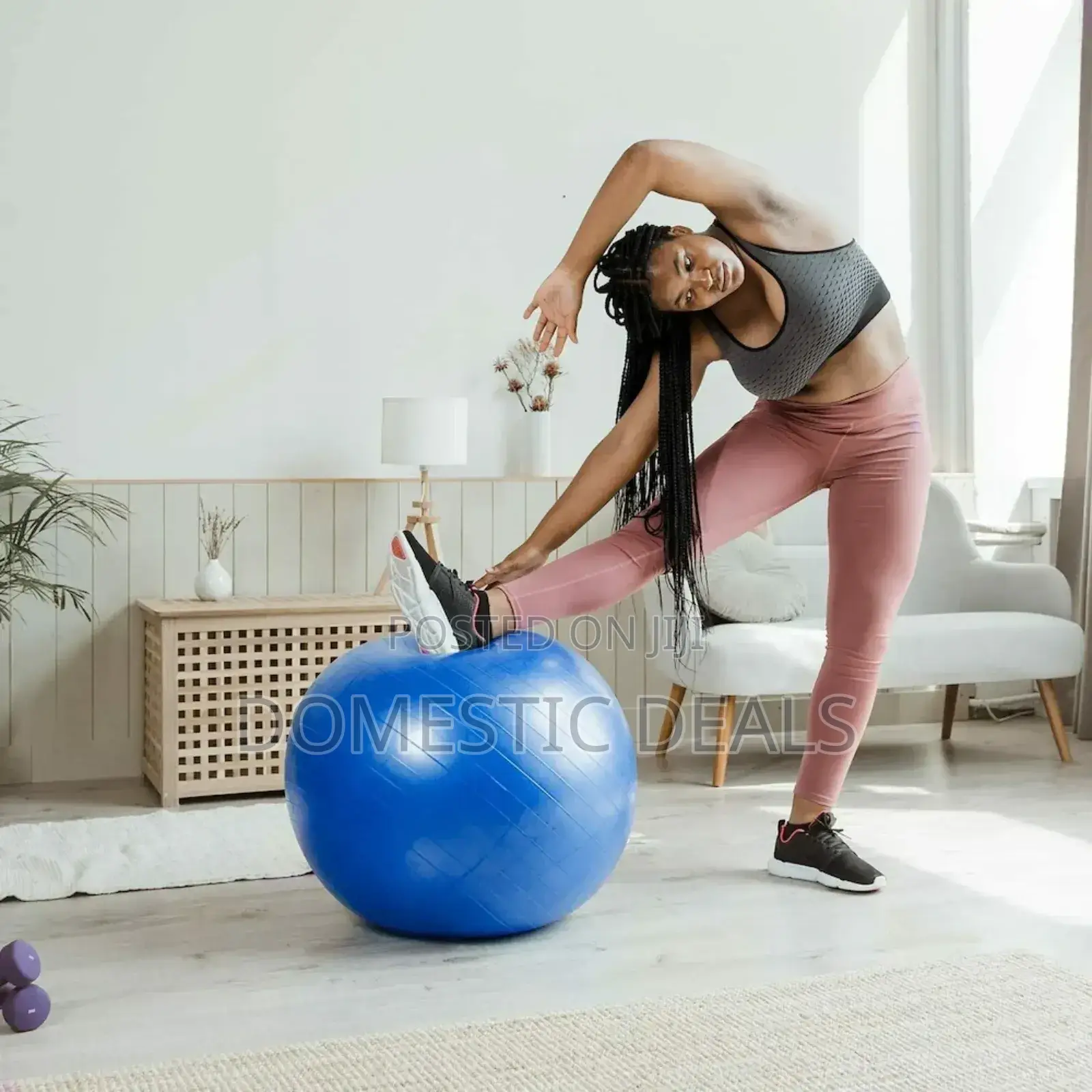 Yoga Ball Exercise Gym Ball