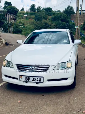 Photo - Toyota Mark X 2.5 AWD 2009 White