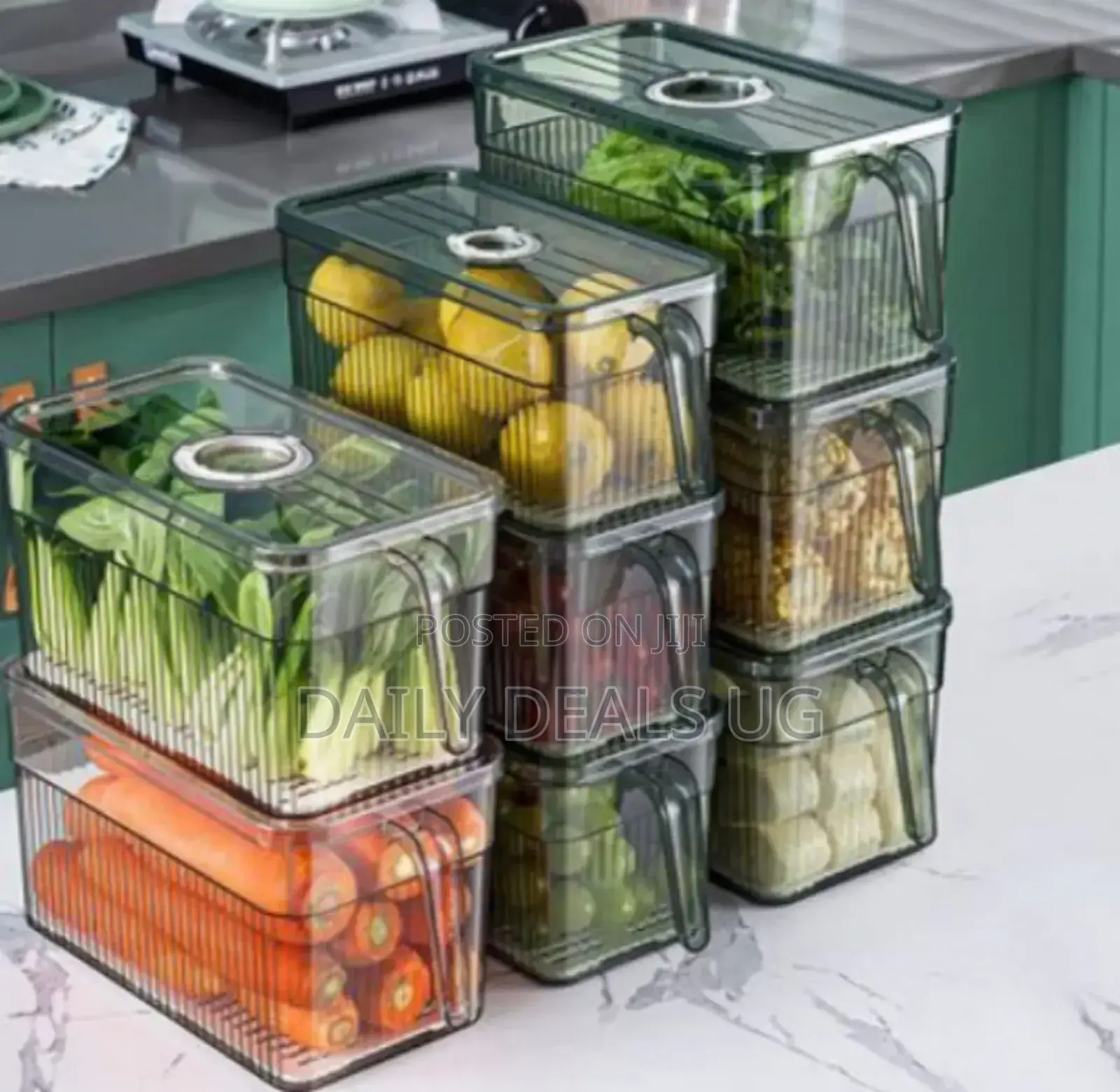 Fridge Storage Containers