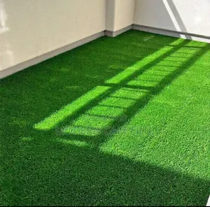 Land Scape Grass