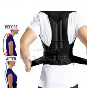 Back Support Brace