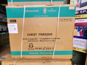 Hisense Deep Freezer 310