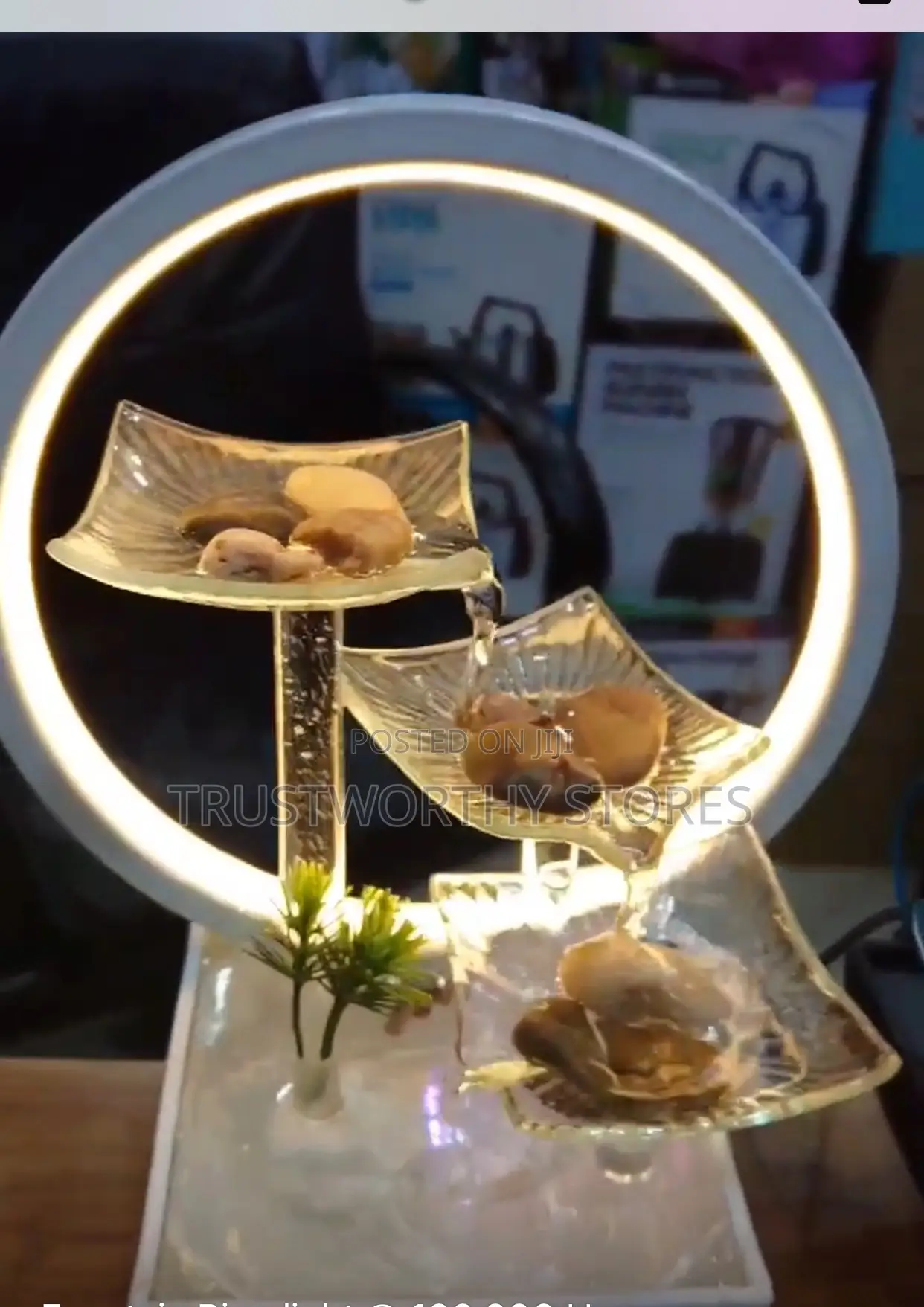 Fountain Ring Light - White