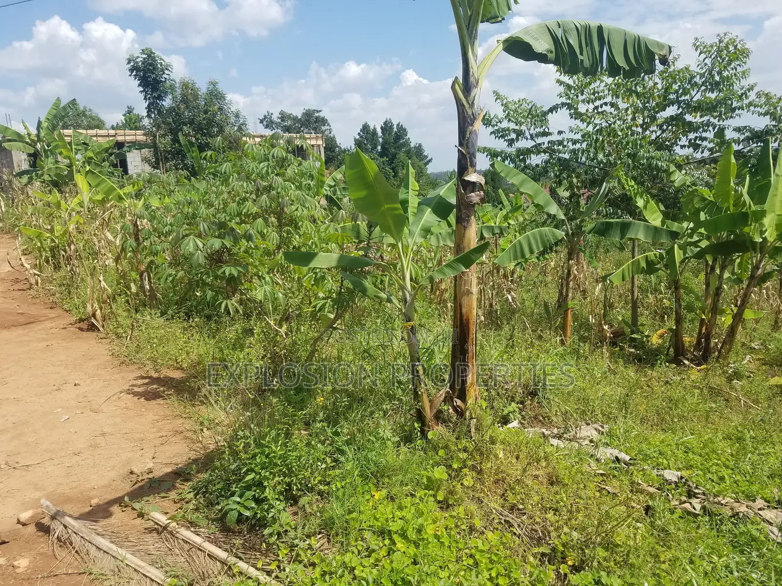 Plots for Sale at Matugga Kiti