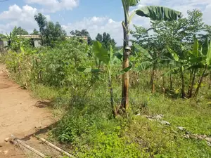 Plots for Sale at Matugga Kiti