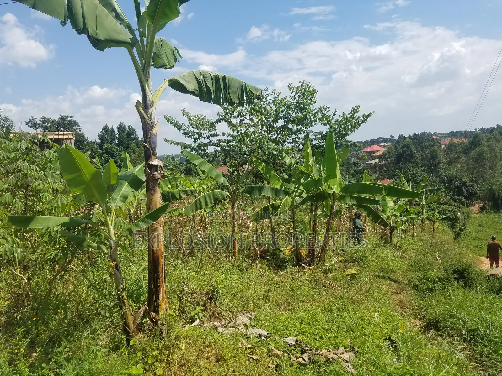 Plots for Sale at Matugga Kiti