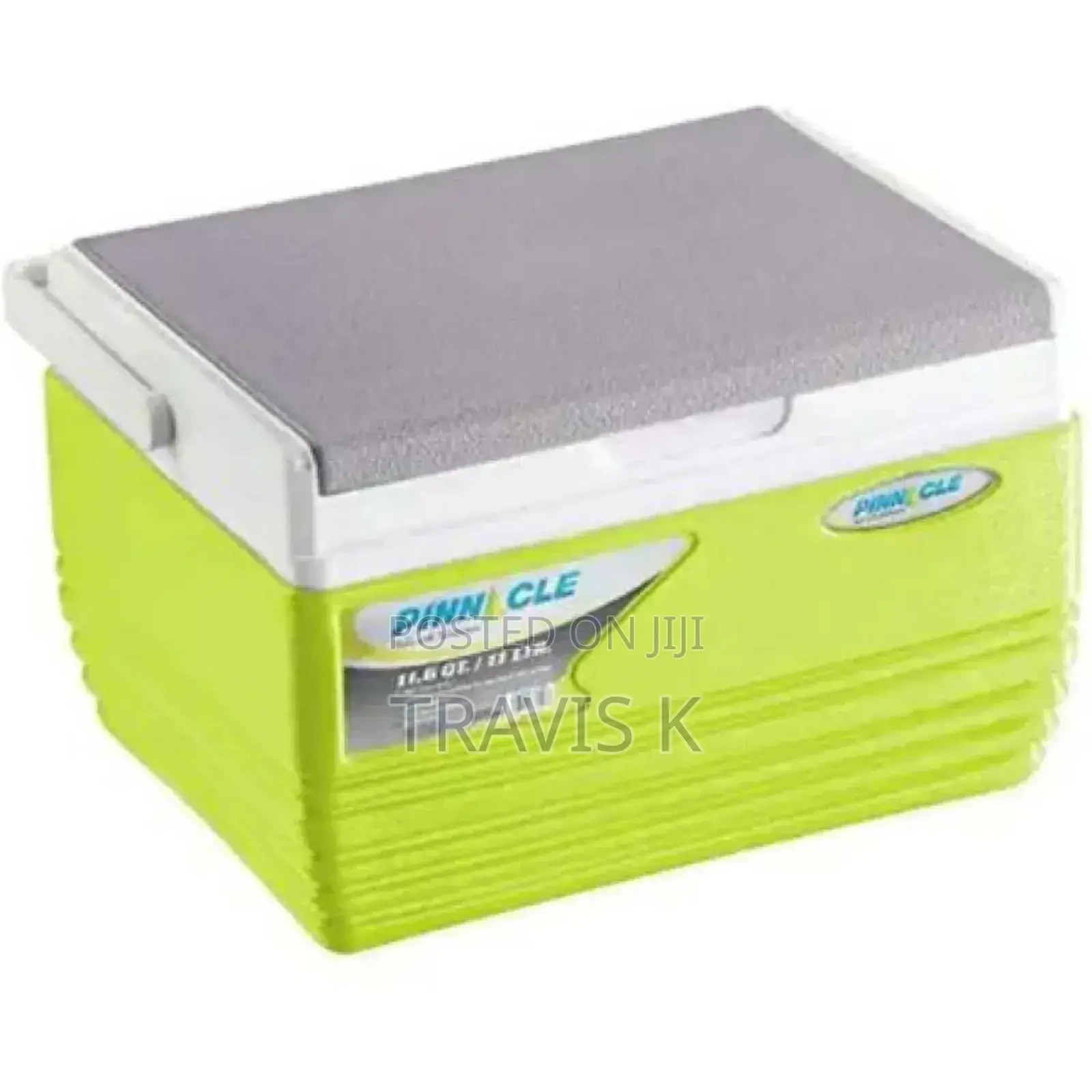 11 Litres Pinnacle Ice Cooler Box