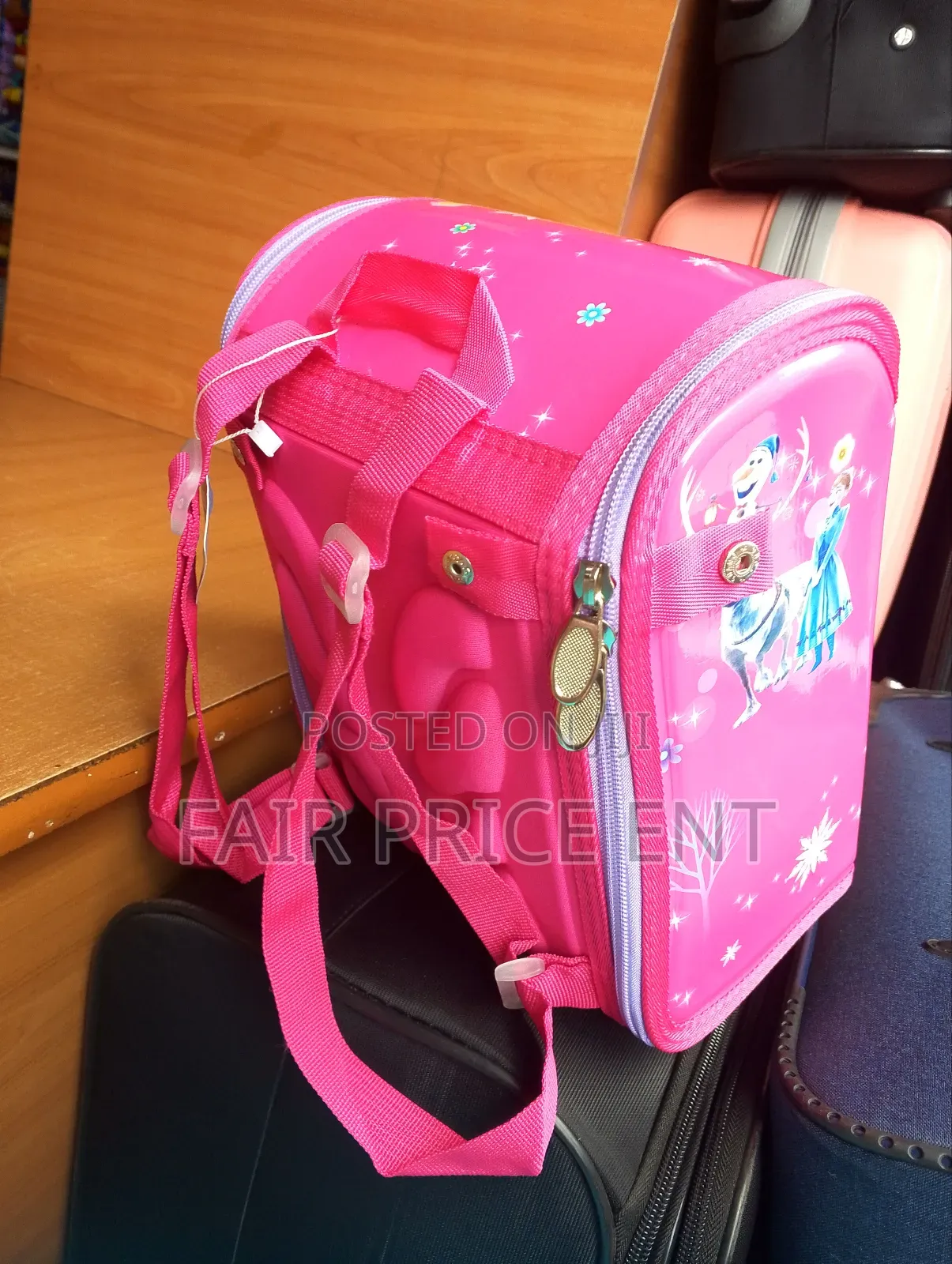 Executive Charactered Kids Bags. Frozen . ( Pink)