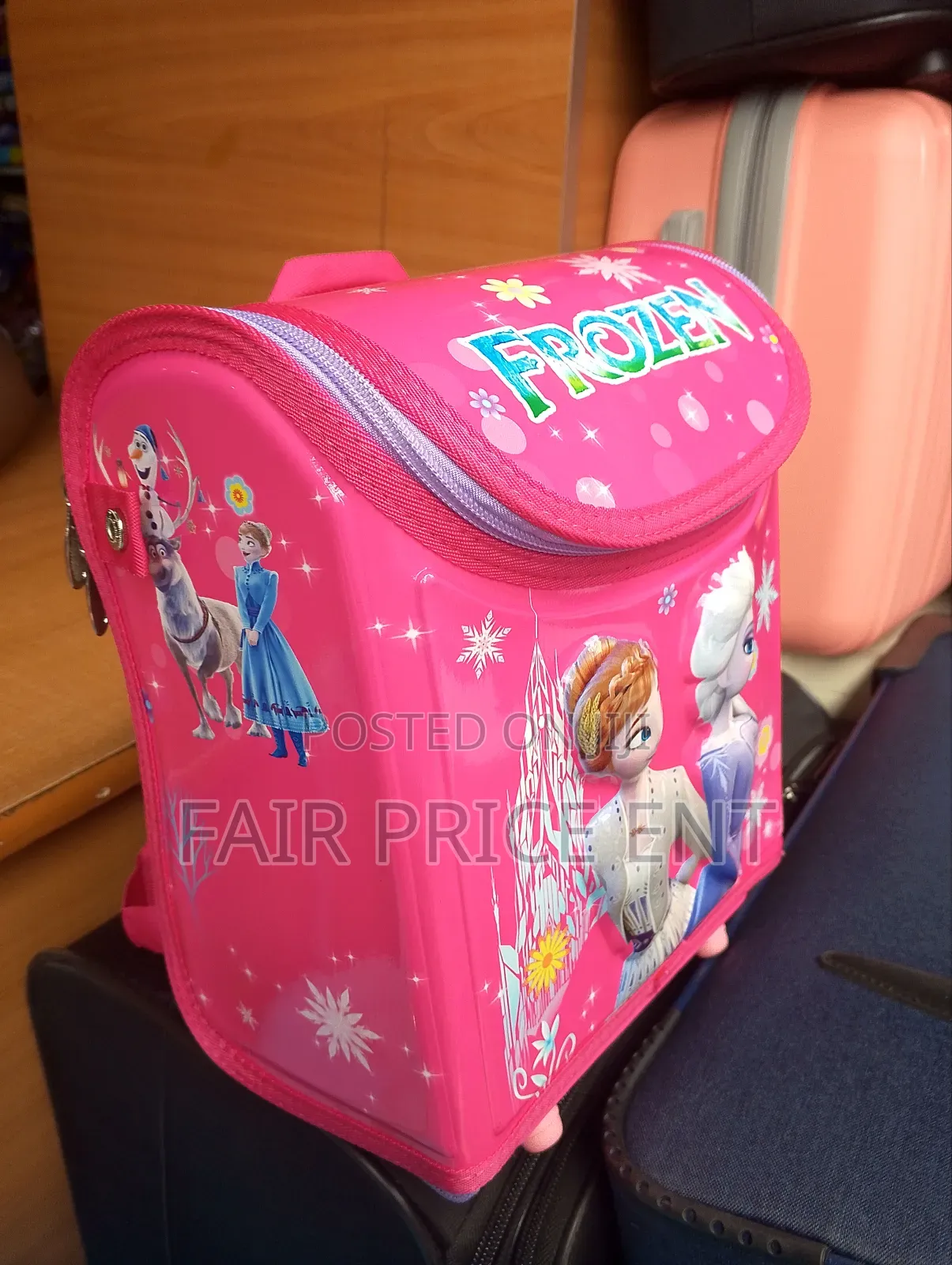 Executive Charactered Kids Bags. Frozen . ( Pink)