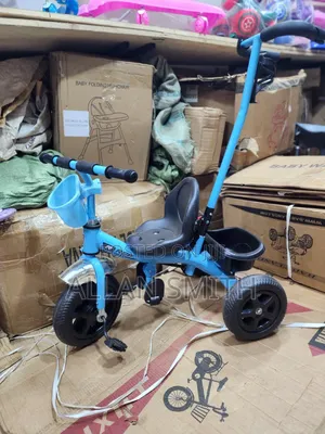 Kids Blue Push Tricycles