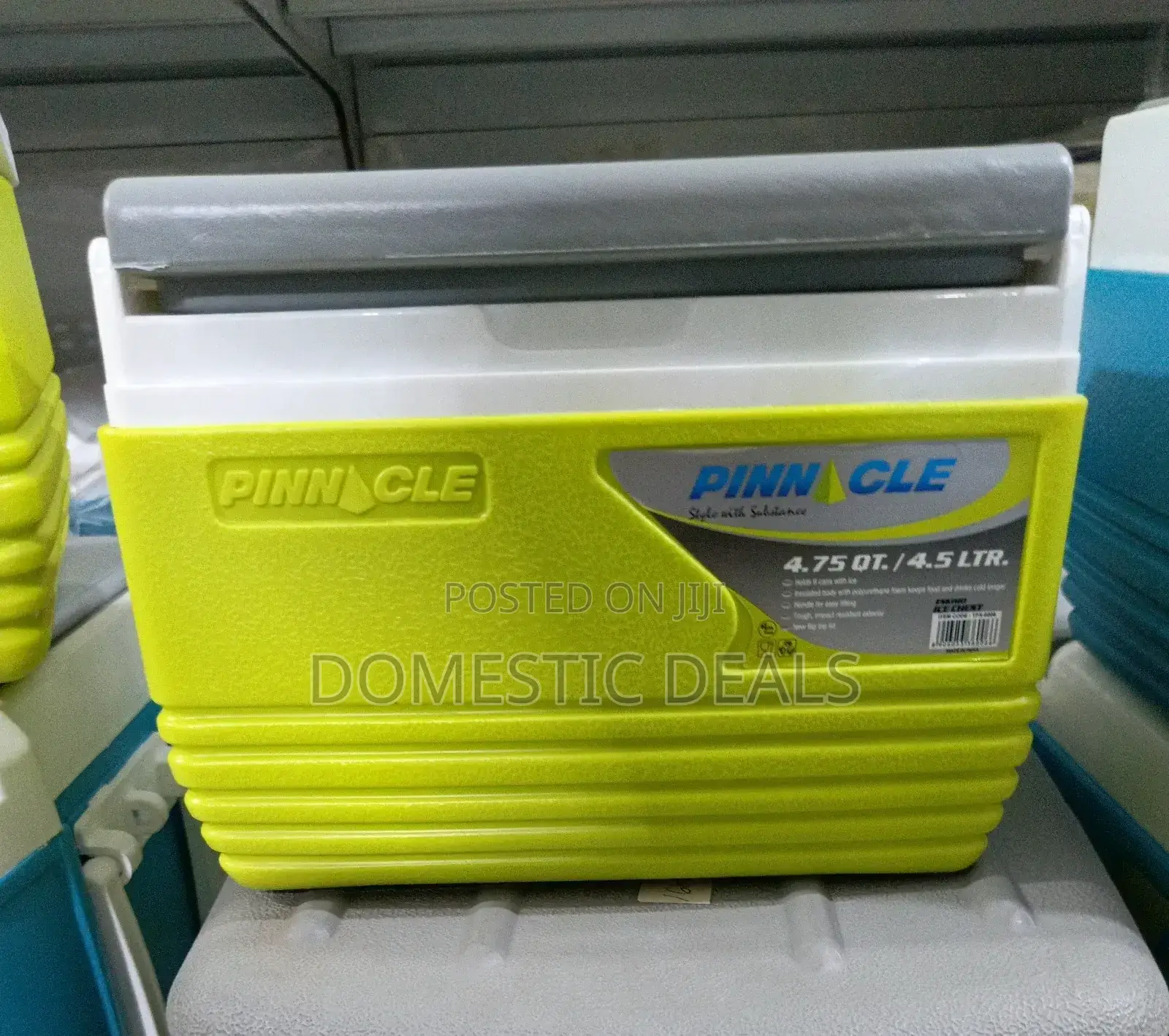4.5L Ice Cooler Box