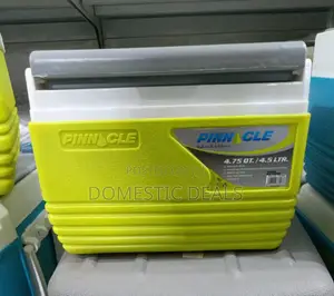 4.5L Ice Cooler Box