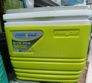 25L Ice Cooler Chiller Box Insulated Ice Cooler Box