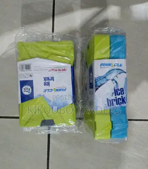 Pinnacle Ice Bricks