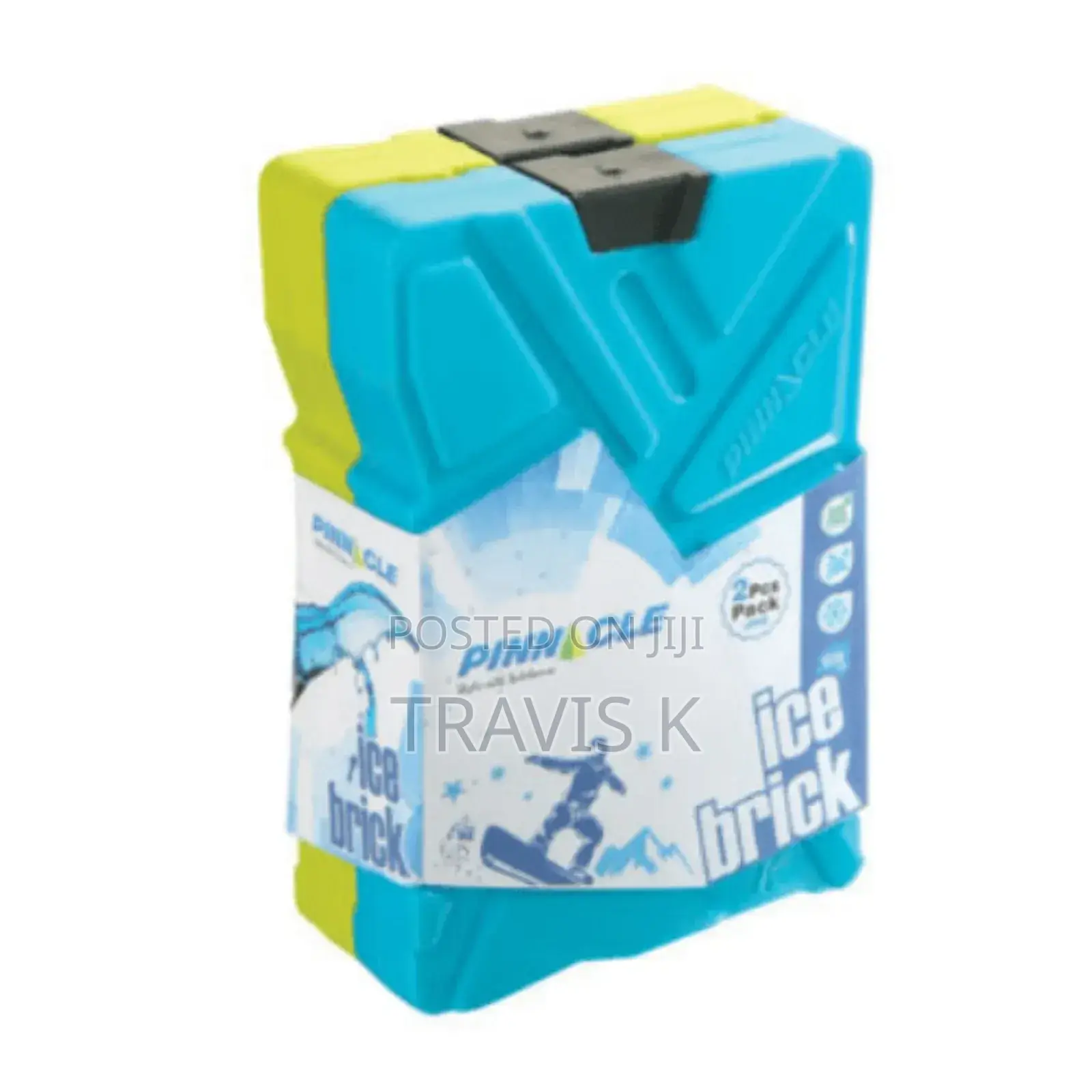 Pair of Ice Bricks