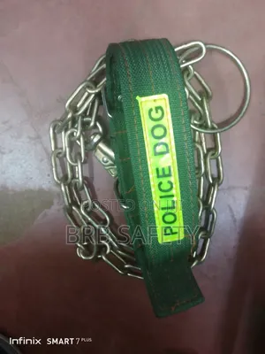 Dog Chain With Collar