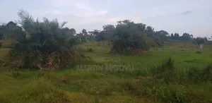 8acres, 60M Per Acre, Buwama (Masaka Rd)