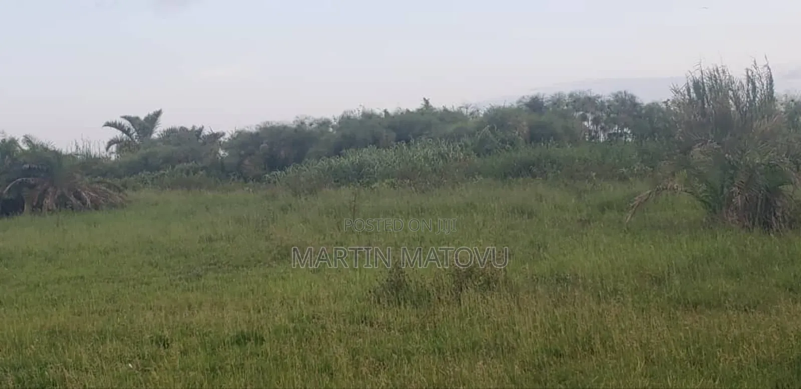 8acres, 60M Per Acre, Buwama (Masaka Rd)