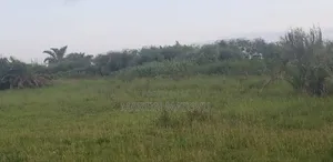 8acres, 60M Per Acre, Buwama (Masaka Rd)