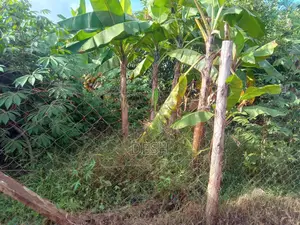Garuga Nalugala Land Plots for Sale