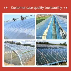 UV Stabilised Greenhouse/Solar Dryer Polythene Sheet(3x100m)