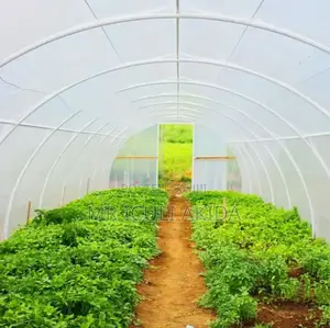 UV Stabilised Greenhouse Roofing Polythene Sheet(11.5x35mtr)