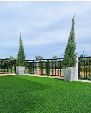 Photo - Horsin Artificial Turf