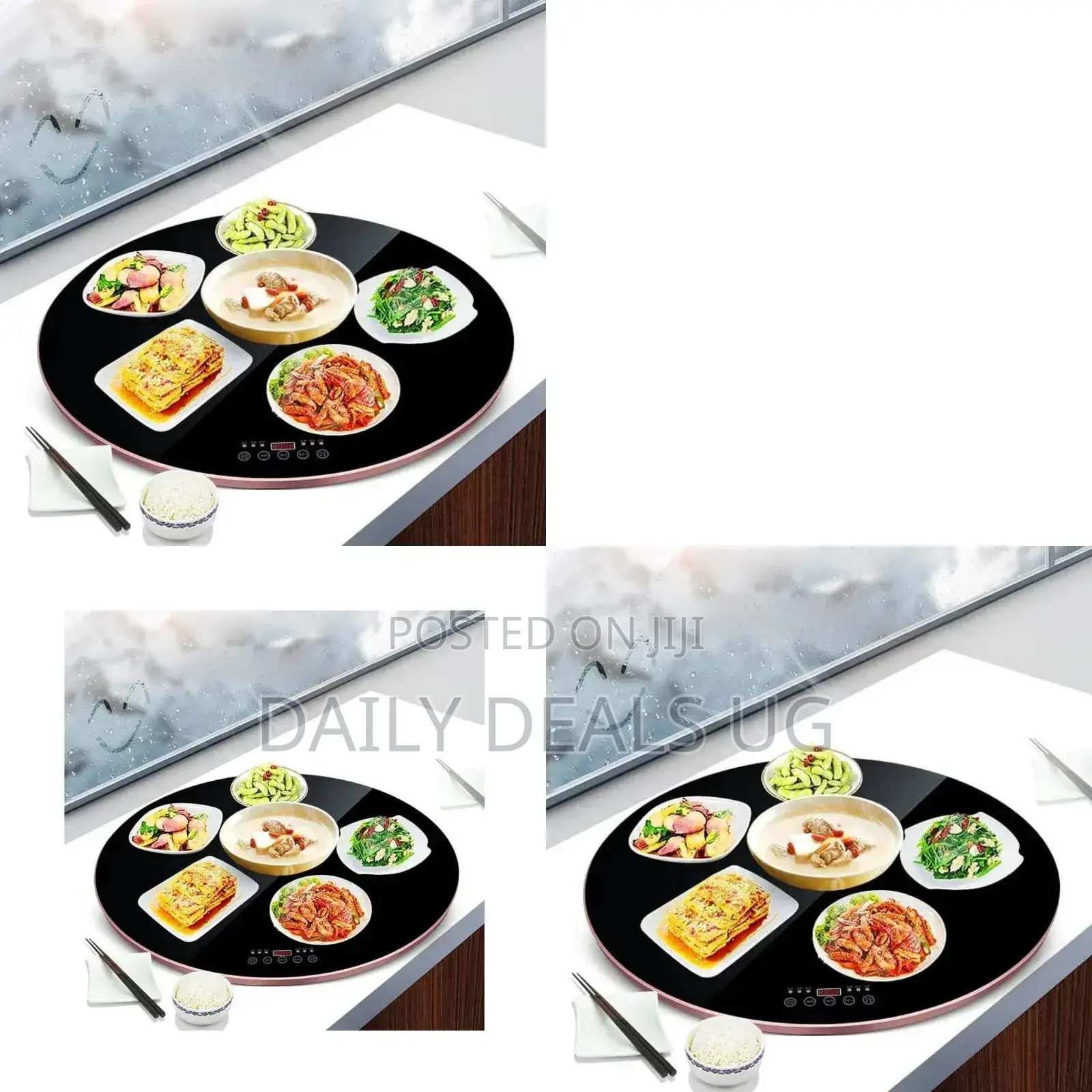 Electric Rotating Food Warmer
